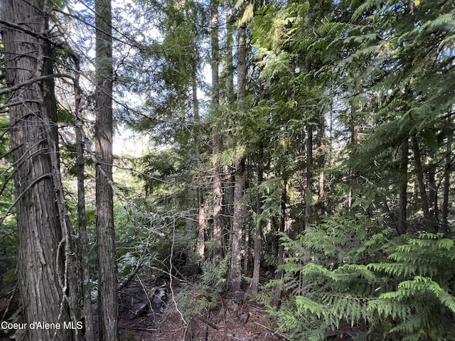 2211 Alpine Dr, Fernwood, ID 83830