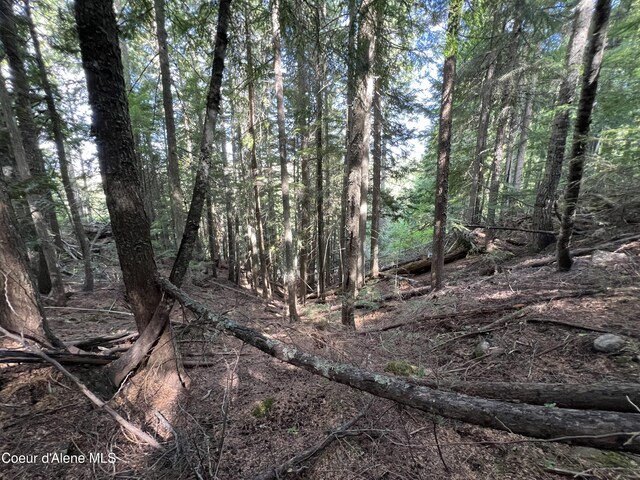2211 Alpine Dr, Fernwood, ID 83830