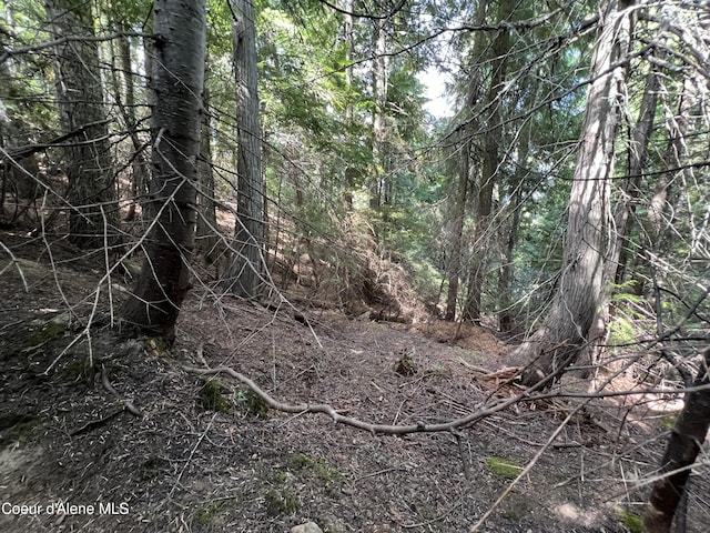 2211 Alpine Dr, Fernwood, ID 83830