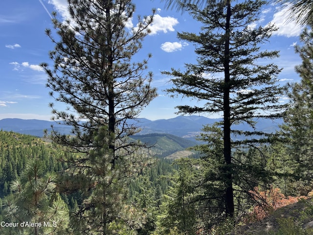 1425 Upriver View Dr, Fernwood, ID 83830