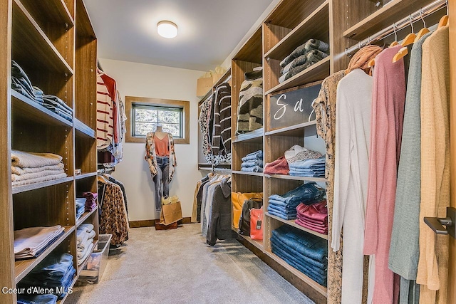 L3B10 N Walden Loop, Rathdrum, ID 83858 - spacious closet with carpet flooring