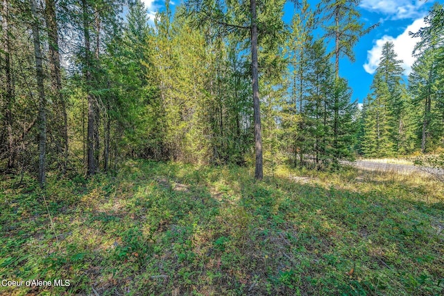L3B10 N Walden Loop, Rathdrum, ID 83858 - view of nature
