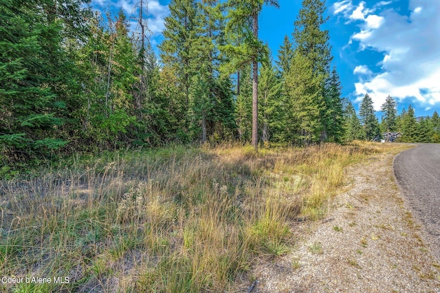 L3B10 N Walden Loop, Rathdrum, ID 83858 - view of street