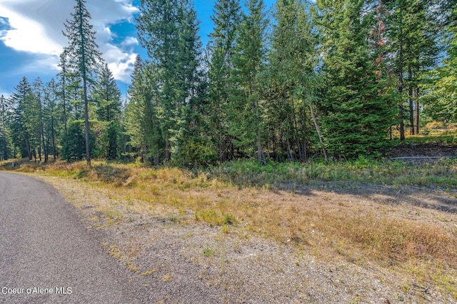 L3B10 N Walden Loop, Rathdrum, ID 83858 - view of street