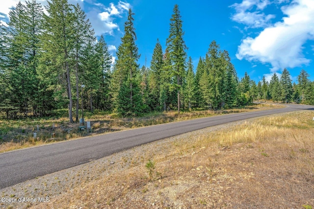 L3B10 N Walden Loop, Rathdrum, ID 83858 - view of road