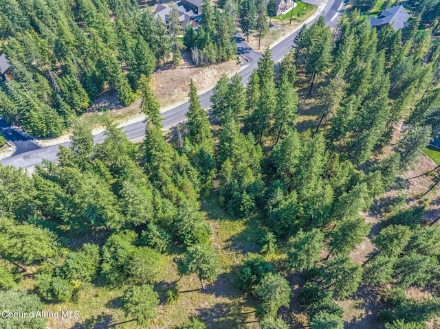 L3B10 N Walden Loop, Rathdrum, ID 83858 - aerial view