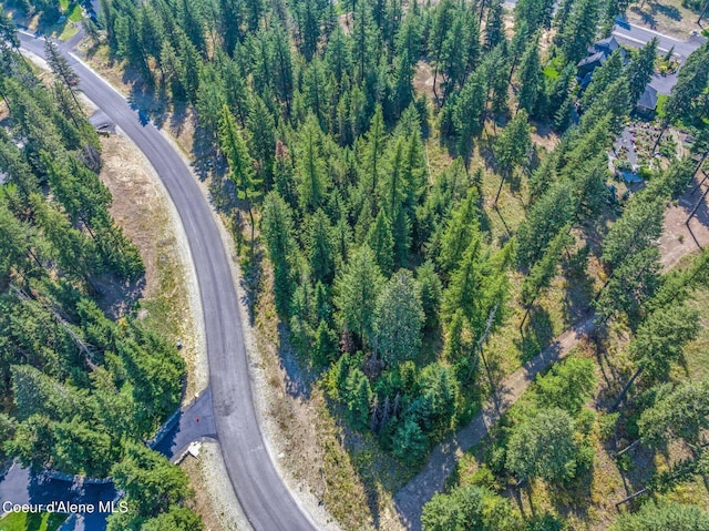 L3B10 N Walden Loop, Rathdrum, ID 83858 - drone / aerial view
