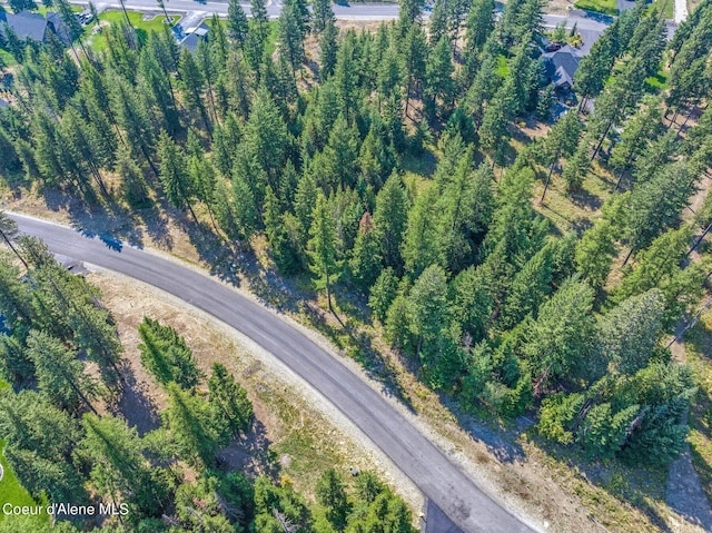 L3B10 N Walden Loop, Rathdrum, ID 83858 - aerial view