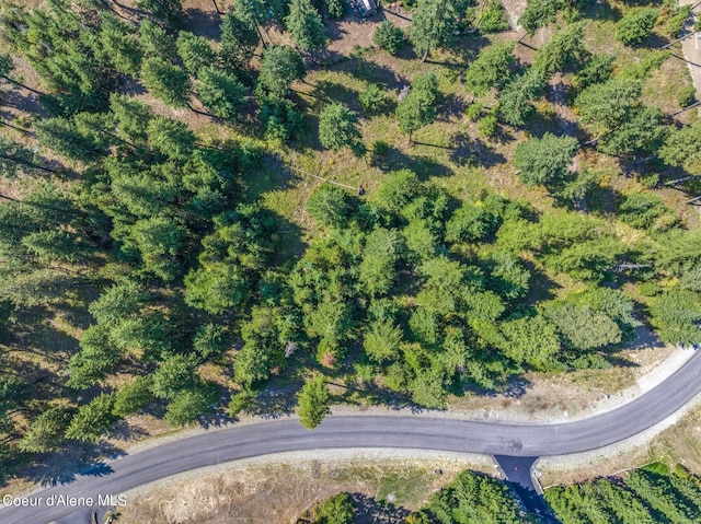 L3B10 N Walden Loop, Rathdrum, ID 83858 - aerial view