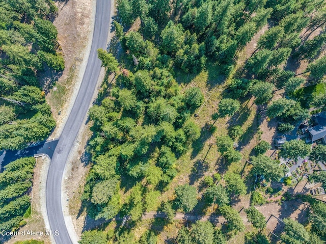 L3B10 N Walden Loop, Rathdrum, ID 83858 - bird's eye view