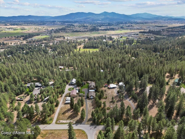 drone / aerial view featuring a mountain view