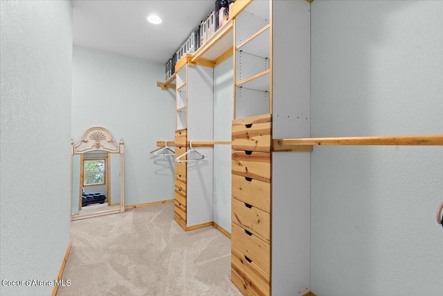 spacious closet featuring carpet flooring