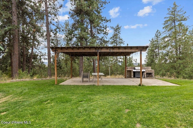 view of yard with an outdoor kitchen and a patio