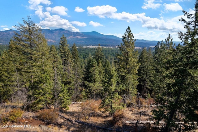 NNA Horn Mountain Rd, Priest River ID, 83856 land for sale