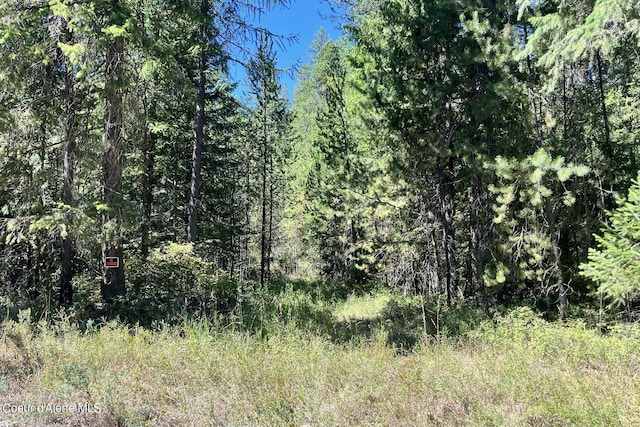 Listing photo 3 for NNA Horn Mountain Rd, Priest River ID 83856