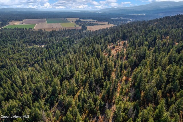 NNA Horn Mountain Rd, Priest River, ID 83856