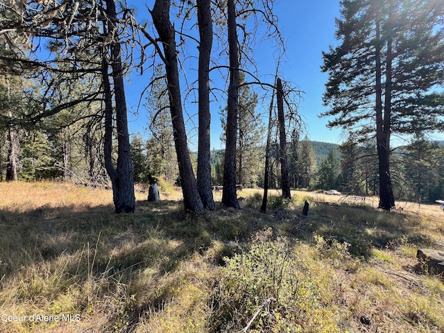 NKA Birch Dr, Saint Maries ID, 83861 land for sale