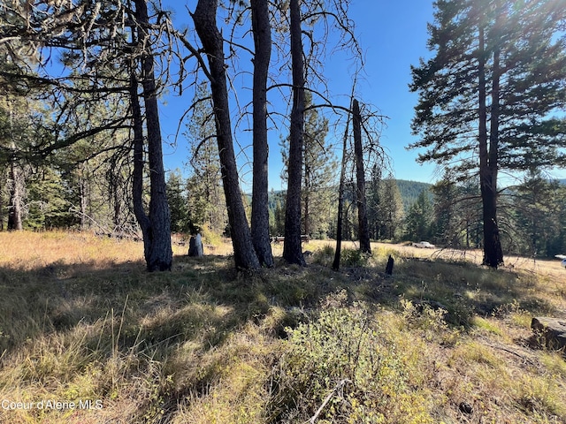 NKA Birch Dr, Saint Maries, ID 83861
