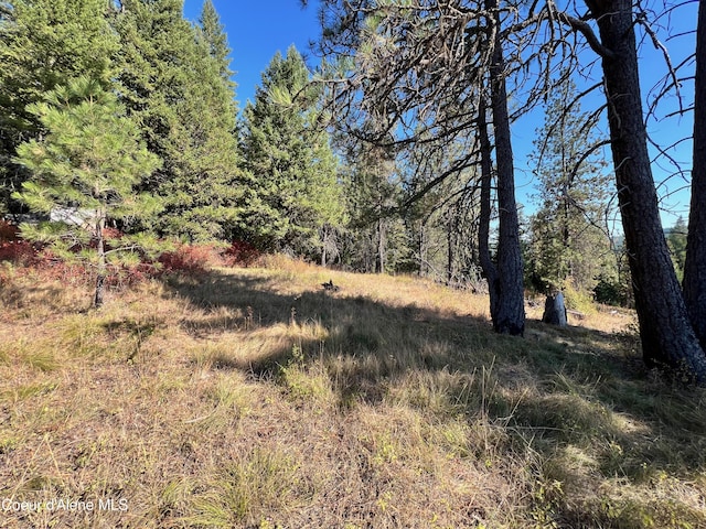 NKA Birch Dr, Saint Maries, ID 83861