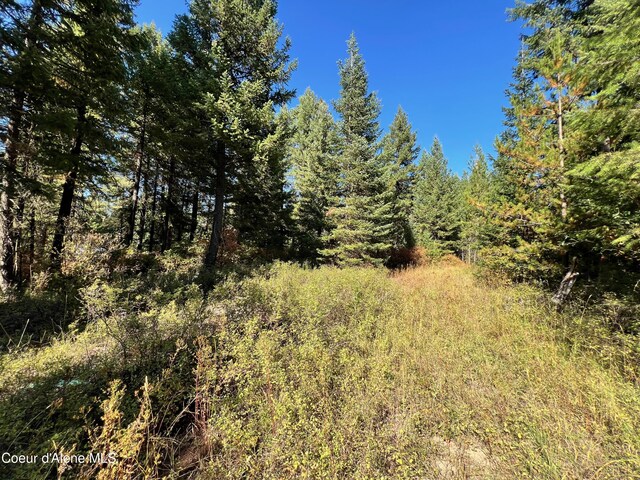 NKA Birch Dr, Saint Maries, ID 83861