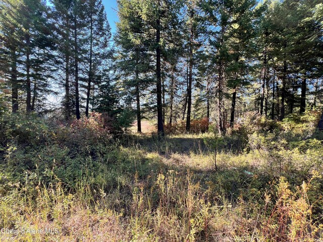 NKA Birch Dr, Saint Maries, ID 83861