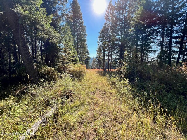 NKA Birch Dr, Saint Maries, ID 83861