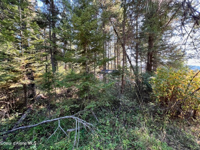 NKA Birch Dr, Saint Maries, ID 83861