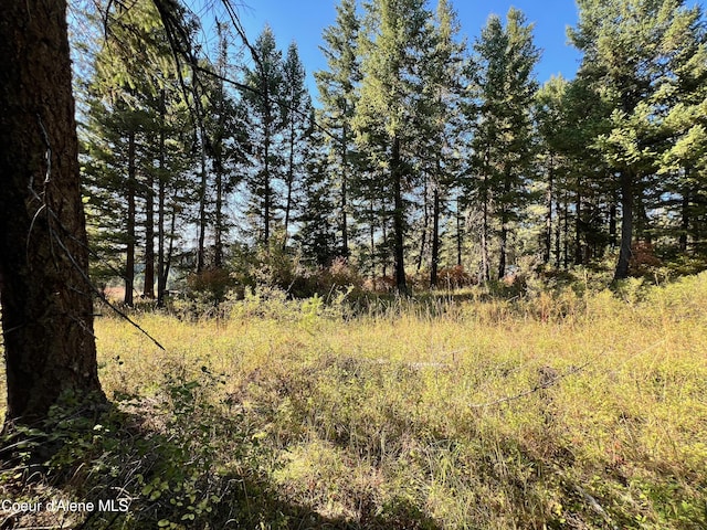 NKA Birch Dr, Saint Maries, ID 83861