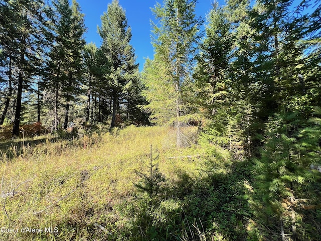 NKA Birch Dr, Saint Maries, ID 83861
