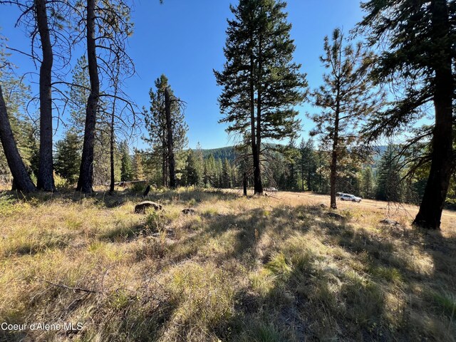 NKA Birch Dr, Saint Maries, ID 83861