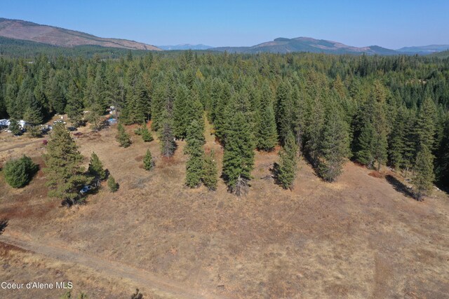 NKA Birch Dr, Saint Maries, ID 83861