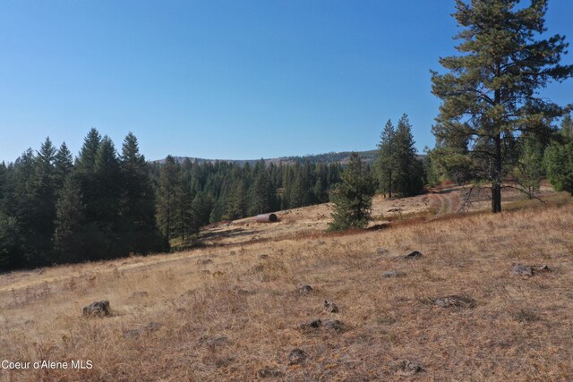 NKA Birch Dr, Saint Maries, ID 83861