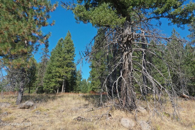 NKA Birch Dr, Saint Maries, ID 83861