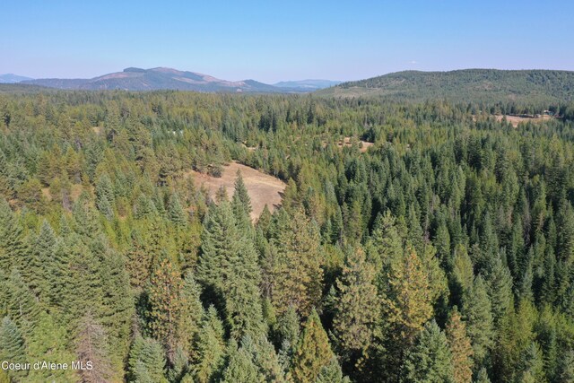 NKA Birch Dr, Saint Maries, ID 83861