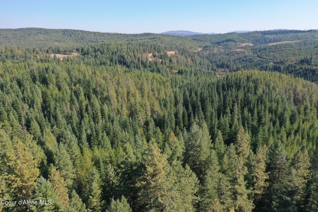 NKA Birch Dr, Saint Maries, ID 83861