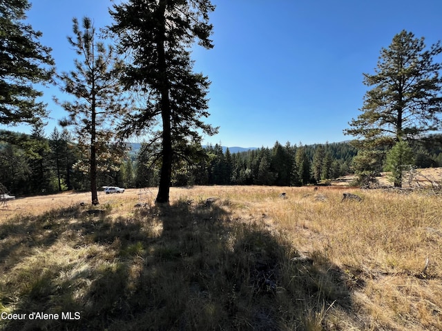 NKA Birch Dr, Saint Maries, ID 83861