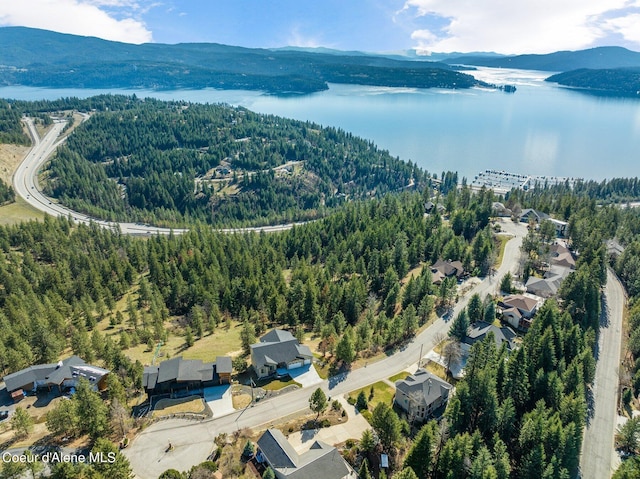 drone / aerial view with a water and mountain view and a view of trees