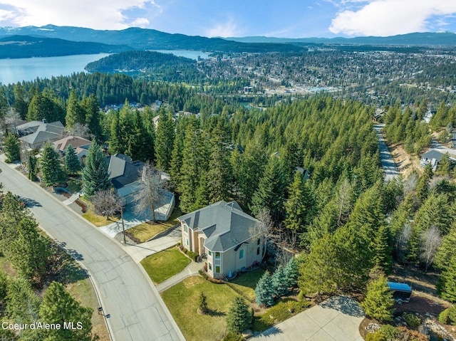 bird's eye view featuring a mountain view and a forest view