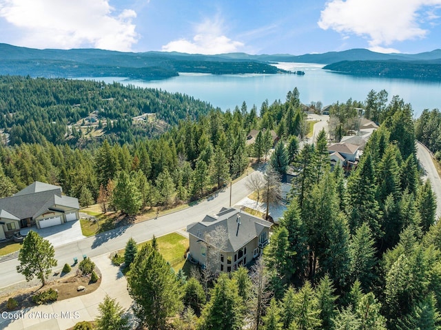 drone / aerial view with a water and mountain view and a view of trees