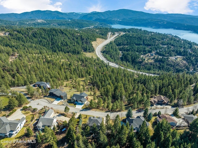 drone / aerial view with a forest view and a mountain view