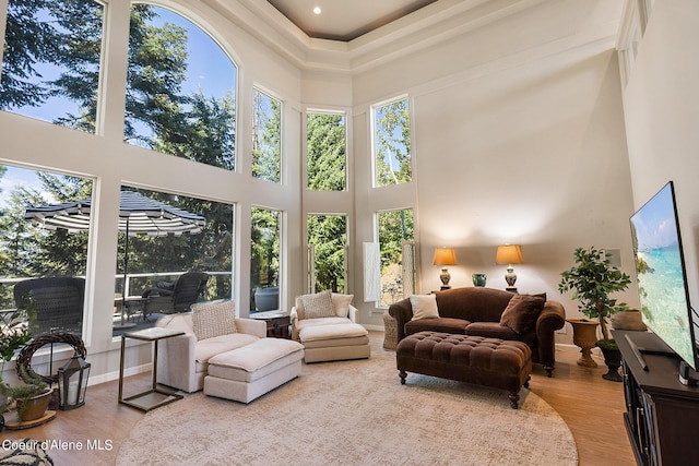 living area featuring a towering ceiling, baseboards, and wood finished floors