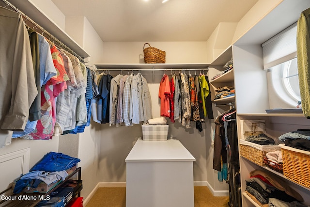 walk in closet featuring carpet floors