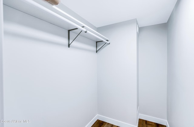 walk in closet featuring dark wood-type flooring