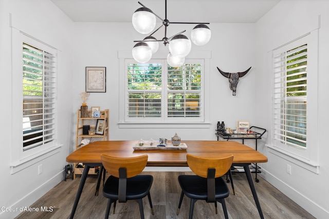 dining room featuring hardwood / wood-style flooring and a notable chandelier