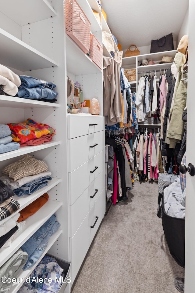 walk in closet with light carpet