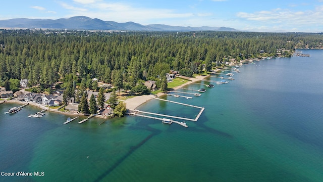 drone / aerial view with a water and mountain view