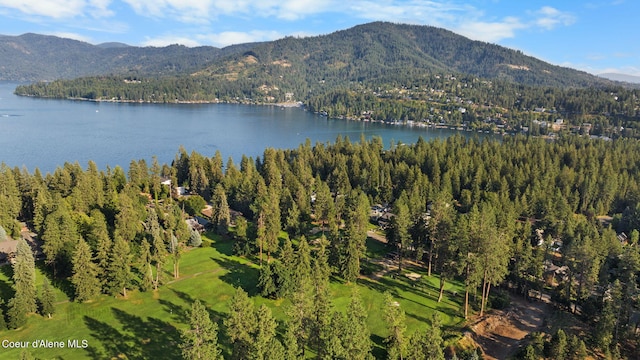 bird's eye view featuring a water and mountain view