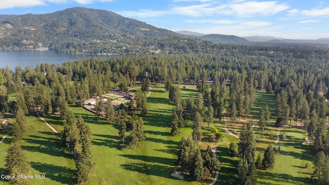 birds eye view of property with a water and mountain view