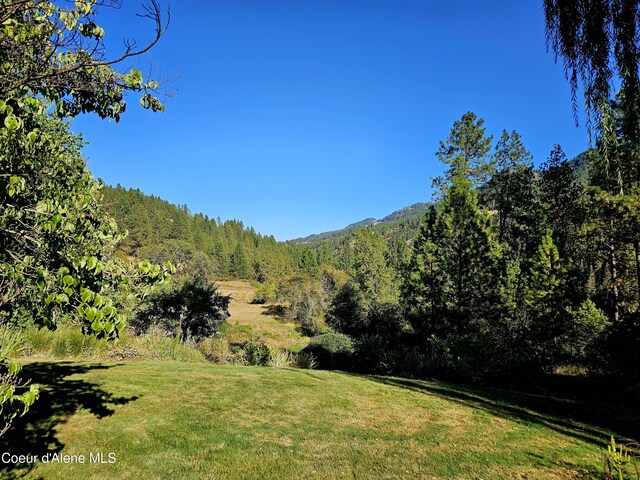 34AND134 Bear Paw Ln, Lenore, ID 83541 - photo 41