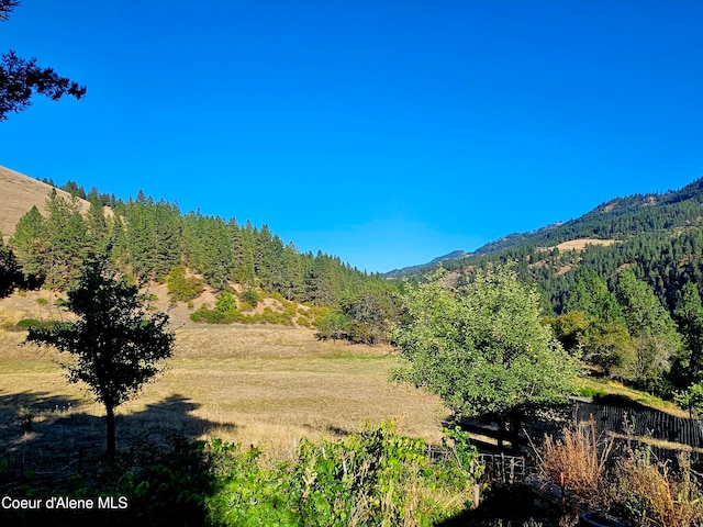 view of mountain feature